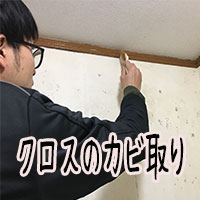 クロスのカビ取り動画