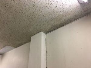 カビ処理中汚染2