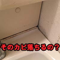 先日のカビ処理（カビ取り）