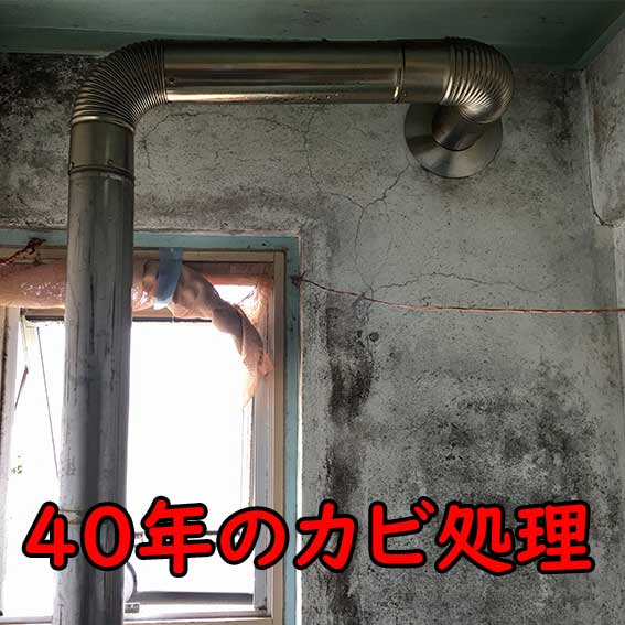 本日のカビ処理 5/7