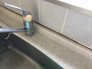 キッチンゴムパッキンカビ