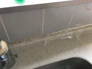 カビをラップする