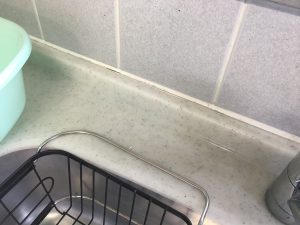 ゴムパッキンのカビ処理後