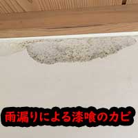 雨漏りによるカビ