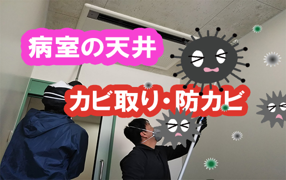 天井のカビ取り動画を公開しました